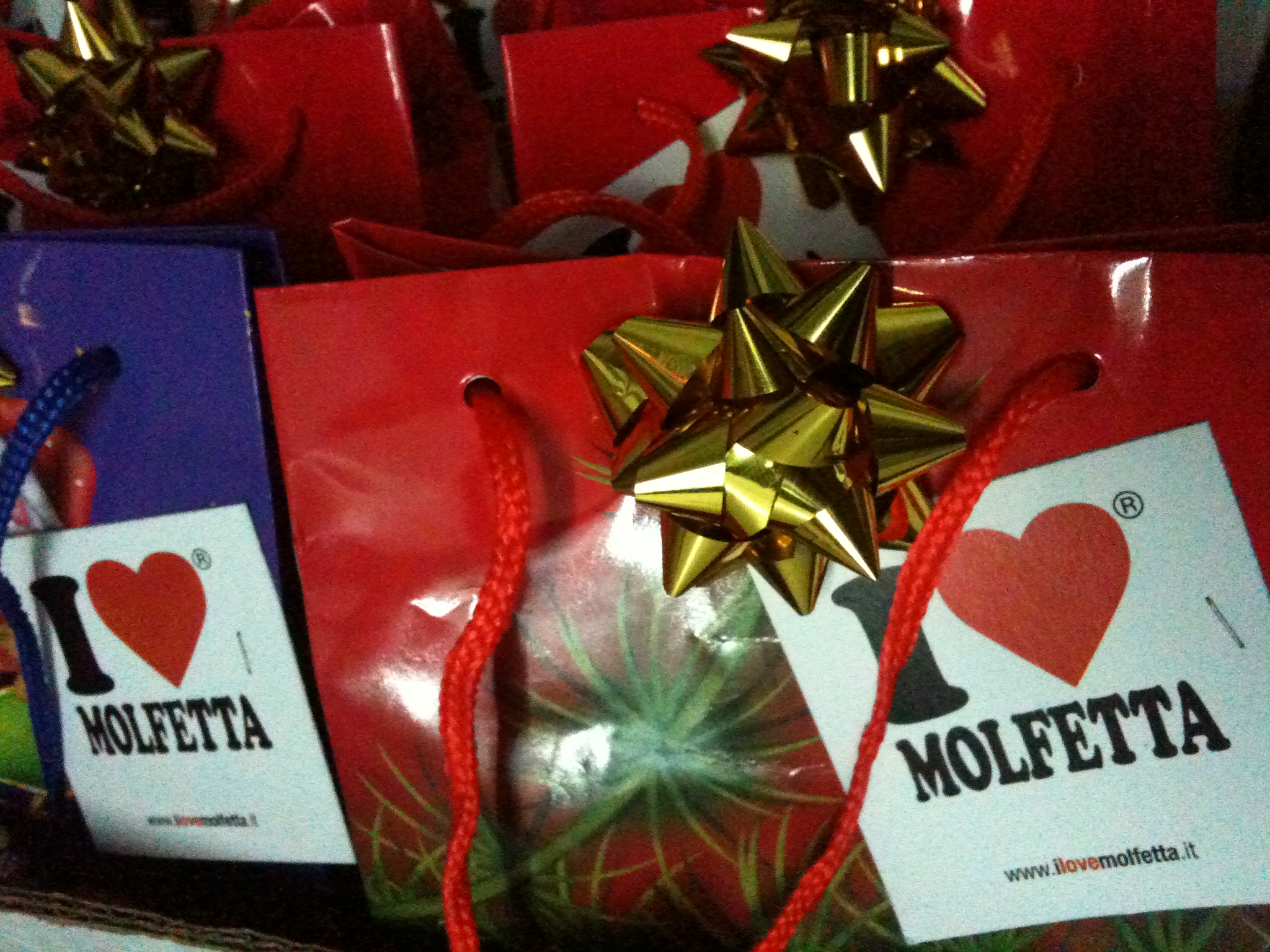 &ldquo;Natale con i tuoi, Pasqua con chi vuoi&rdquo;..